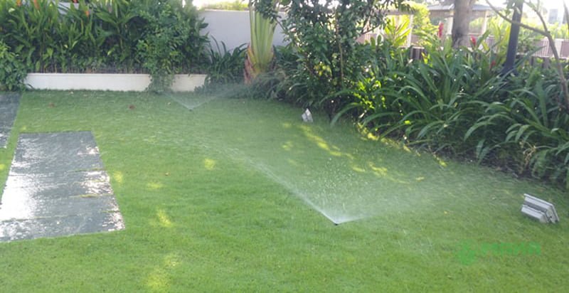 he thong tuoi cay thong minh